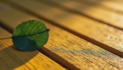 Deck Alternatives: 5 Better Options Than a Wood Deck (and What They Cost)